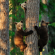 Image for article titled The most inspiring nature photography of the year